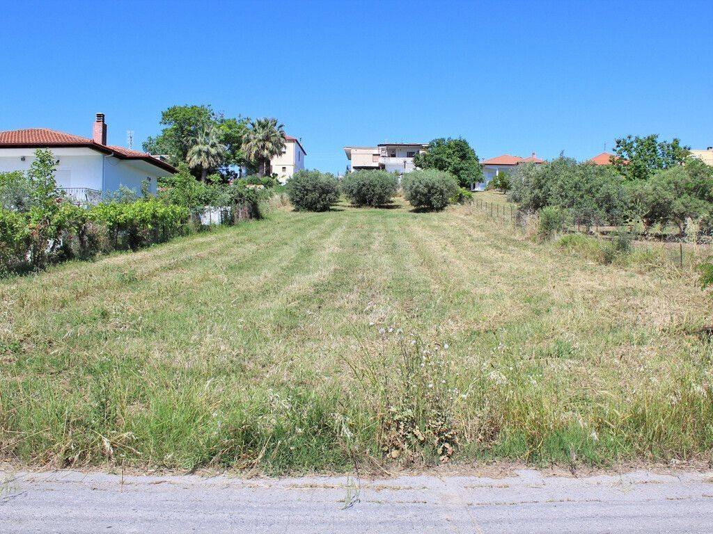 Plot - Grekodom 59575|867837