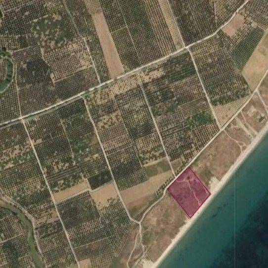 Plot - Grekodom 59594|868013