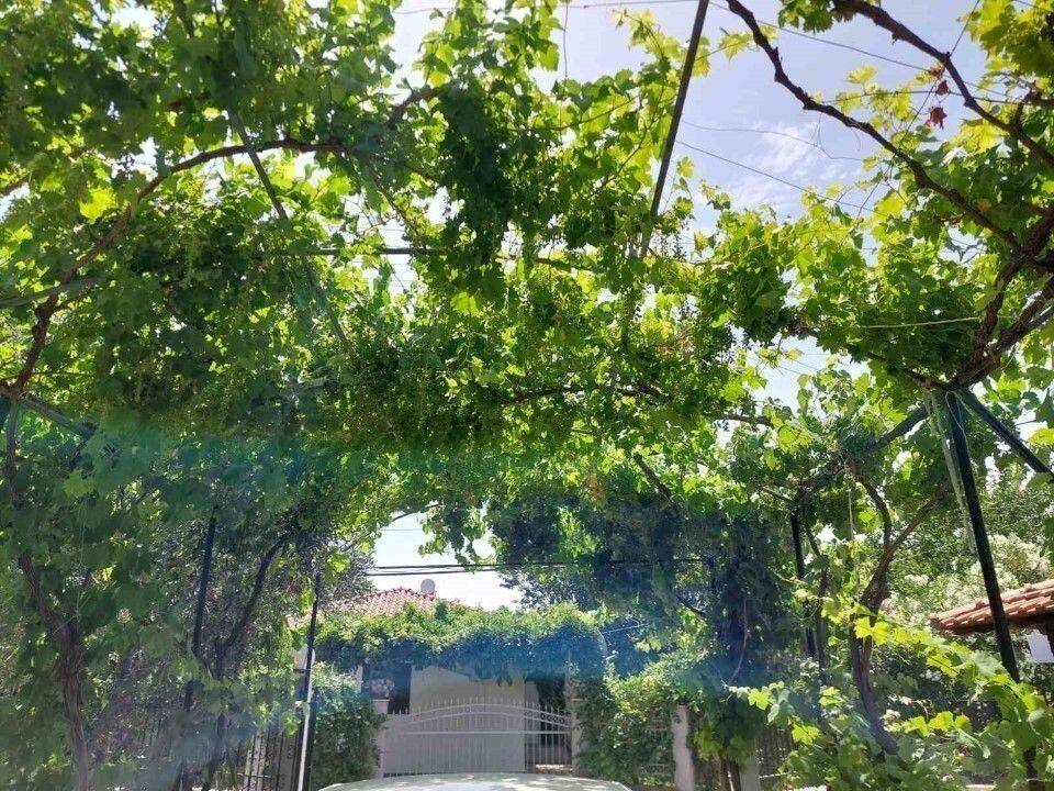 Detached - Grekodom 59636|868823