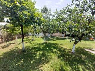 Detached - Grekodom 59636|868831