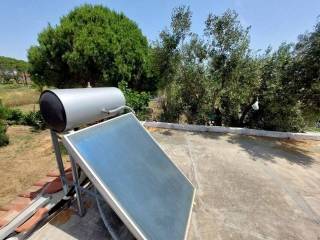 Detached - Grekodom 59636|868833