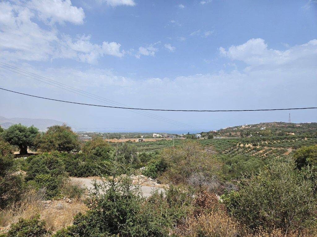 Plot - Grekodom 59642|870632