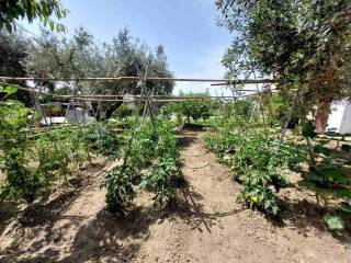 Detached - Grekodom 59636|868837