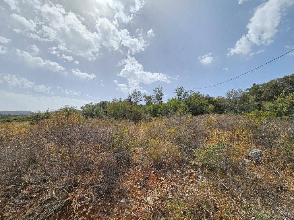 Plot - Grekodom 59642|870629