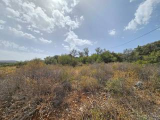 Plot - Grekodom 59642|870629