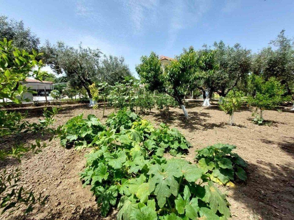 Detached - Grekodom 59636|868838