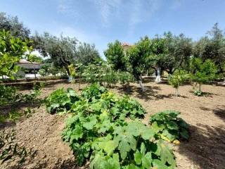 Detached - Grekodom 59636|868838