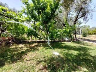 Detached - Grekodom 59636|868840