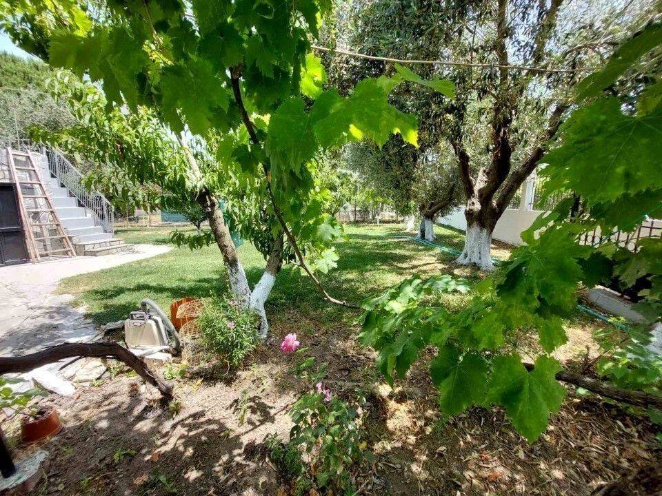 Detached - Grekodom 59636|868851