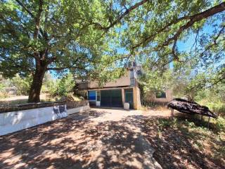 Other commercial - Grekodom 59821|876814