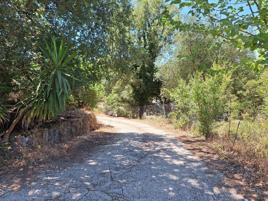 Other commercial - Grekodom 59821|876815