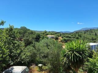 Other commercial - Grekodom 59821|876800