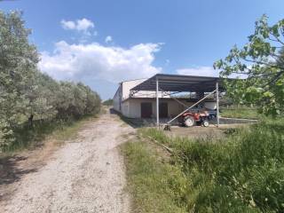 Building - Grekodom 54417|784880