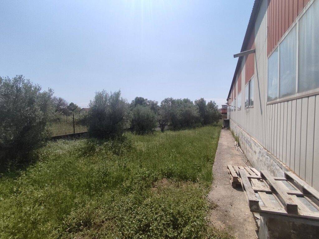 Building - Grekodom 54417|784894