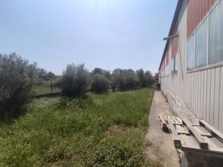 Building - Grekodom 54417|784894