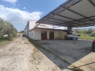 Building - Grekodom 54417|784898