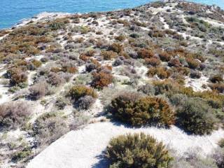 Plot - Grekodom 30937|738398