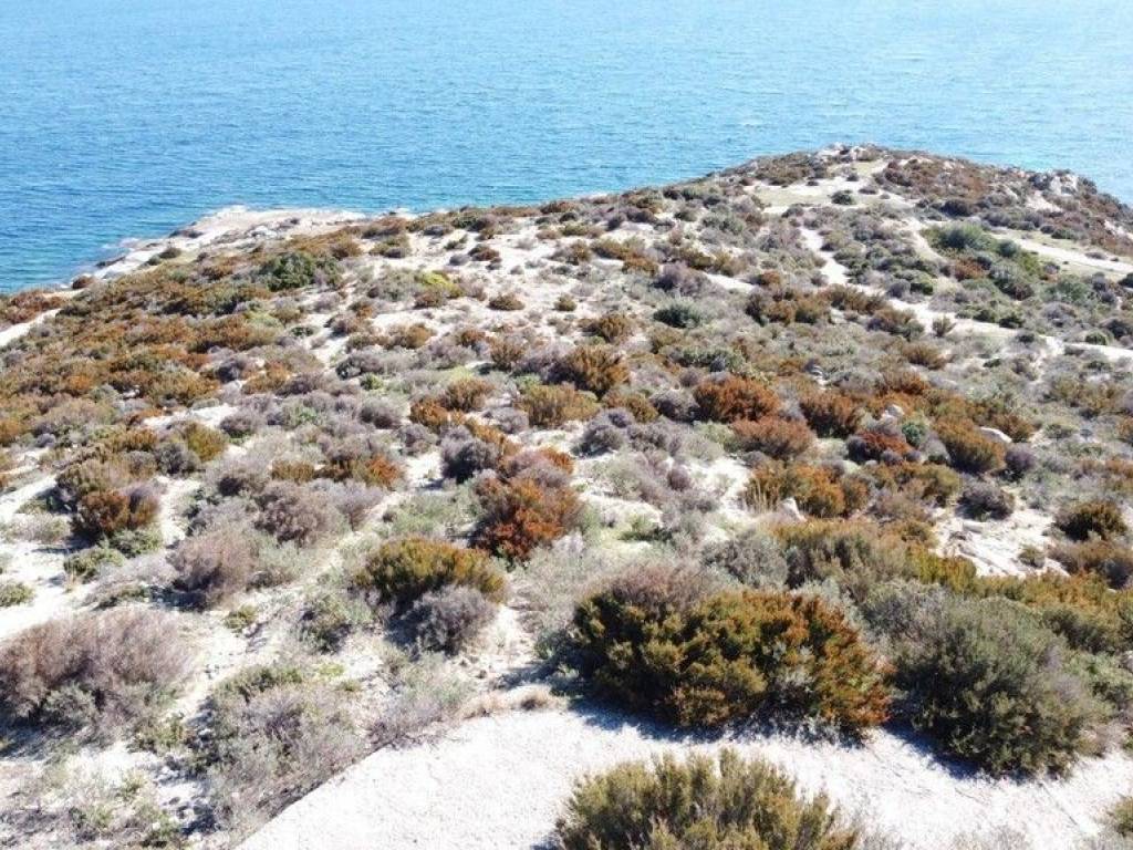 Plot - Grekodom 30937|738403