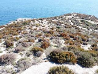 Plot - Grekodom 30937|738403