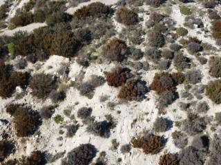 Plot - Grekodom 30937|738404