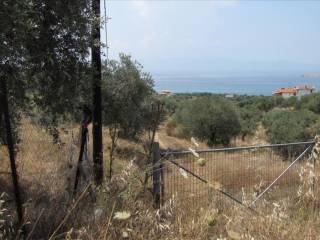 Plot - Grekodom 60009|880633