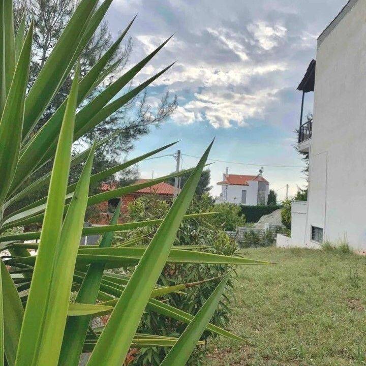 Maisonette - Grekodom 60031|881119