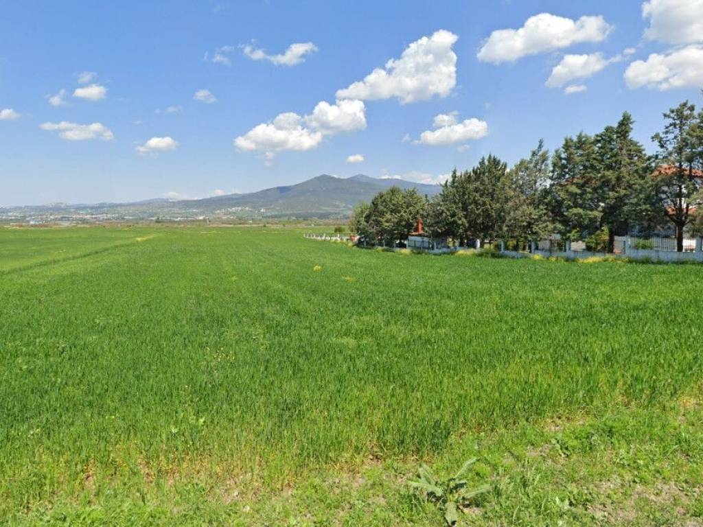 Plot - Grekodom 60170|884456