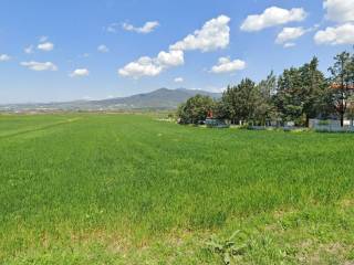 Plot - Grekodom 60170|884456