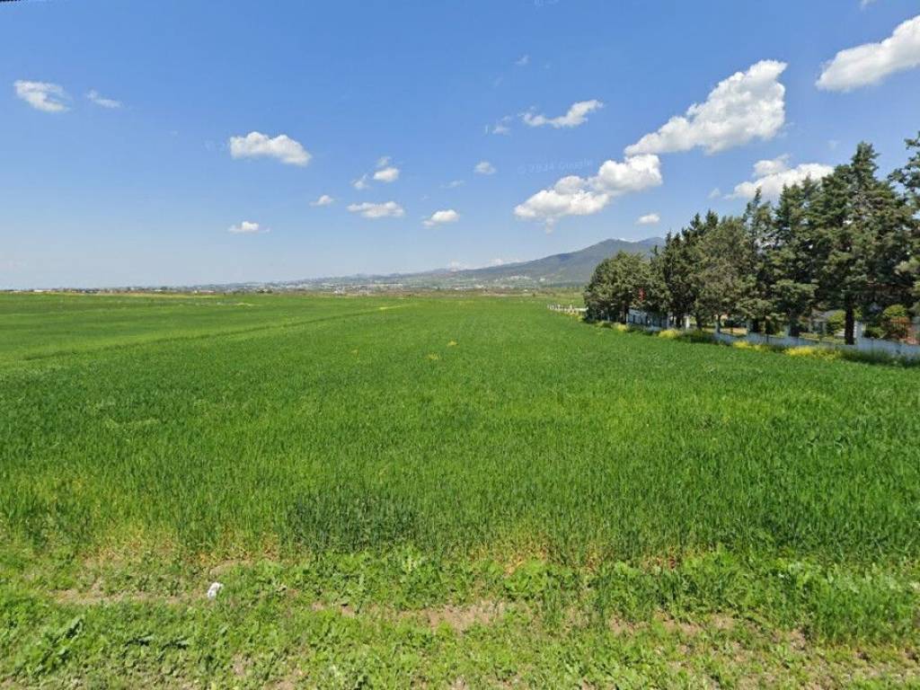 Plot - Grekodom 60170|884455