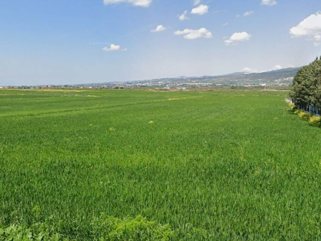 Plot - Grekodom 60170|884454