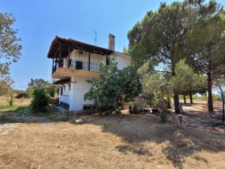 Detached - Grekodom 60169|884445