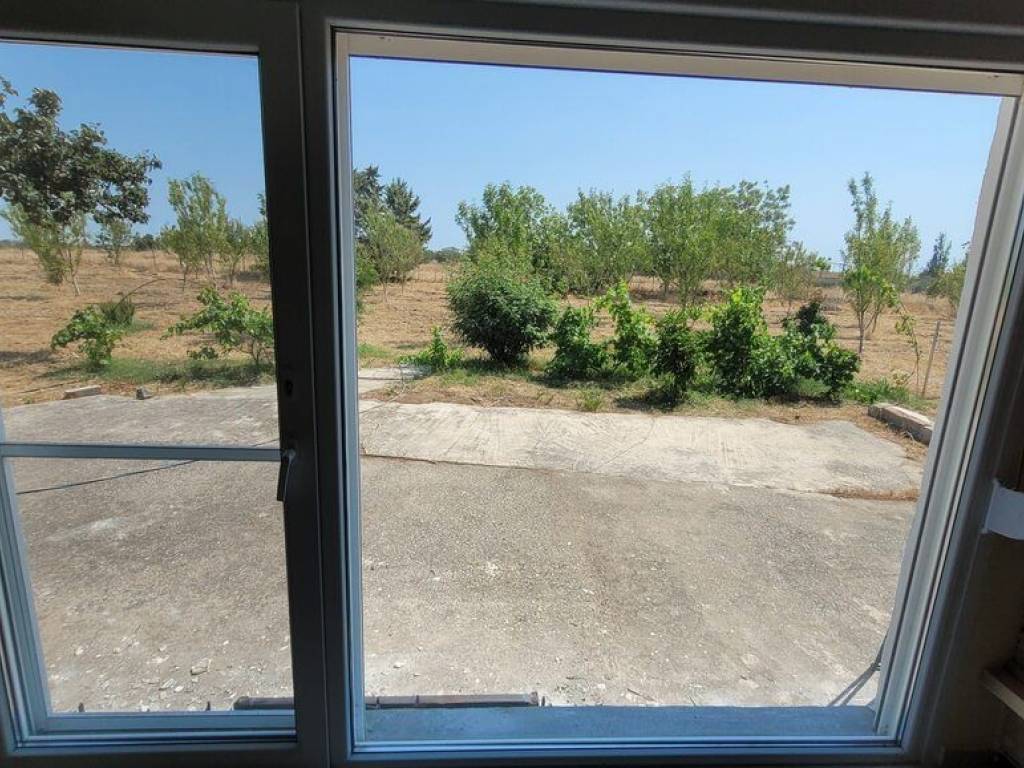 Detached - Grekodom 60169|884409