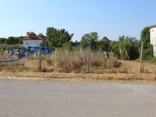 Plot - Grekodom 60194|884996