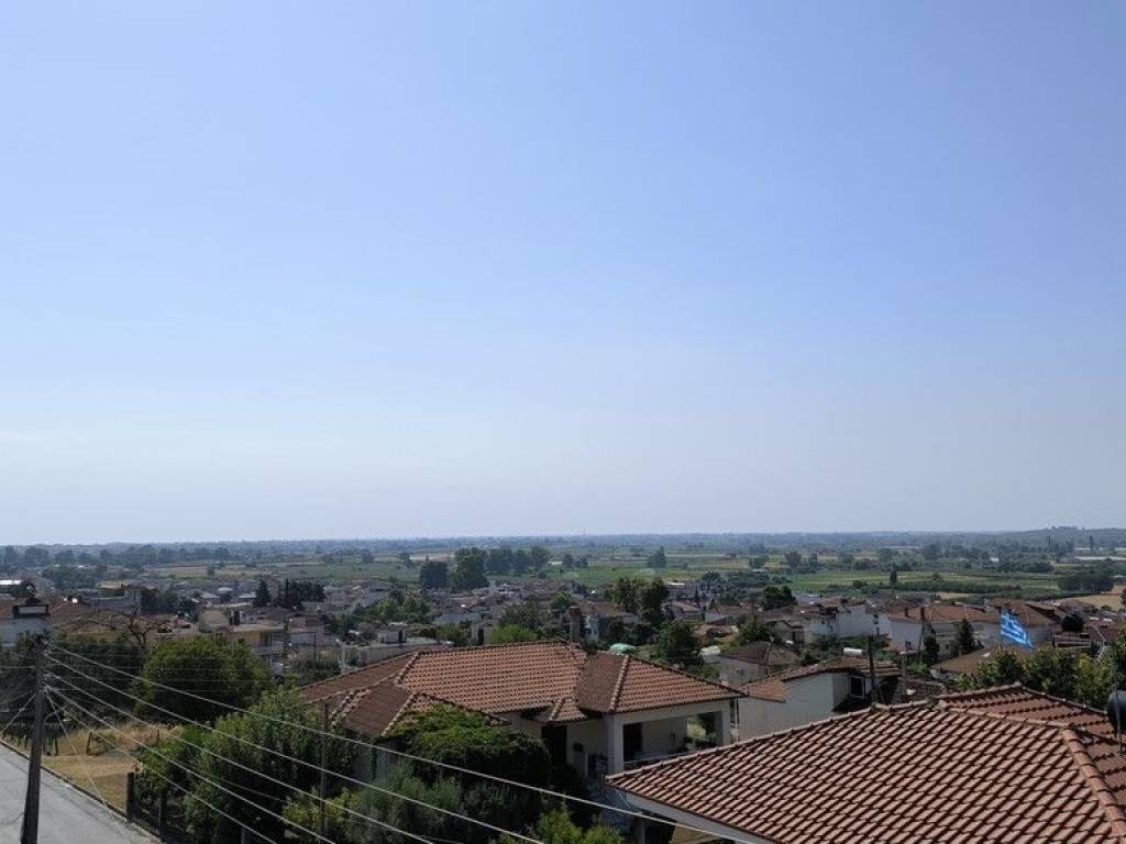 Apartment - Grekodom 60282|890254