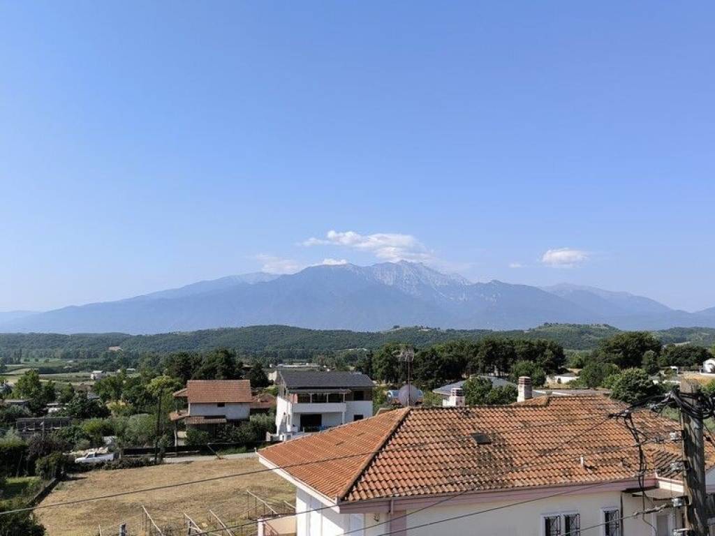 Apartment - Grekodom 60282|890251