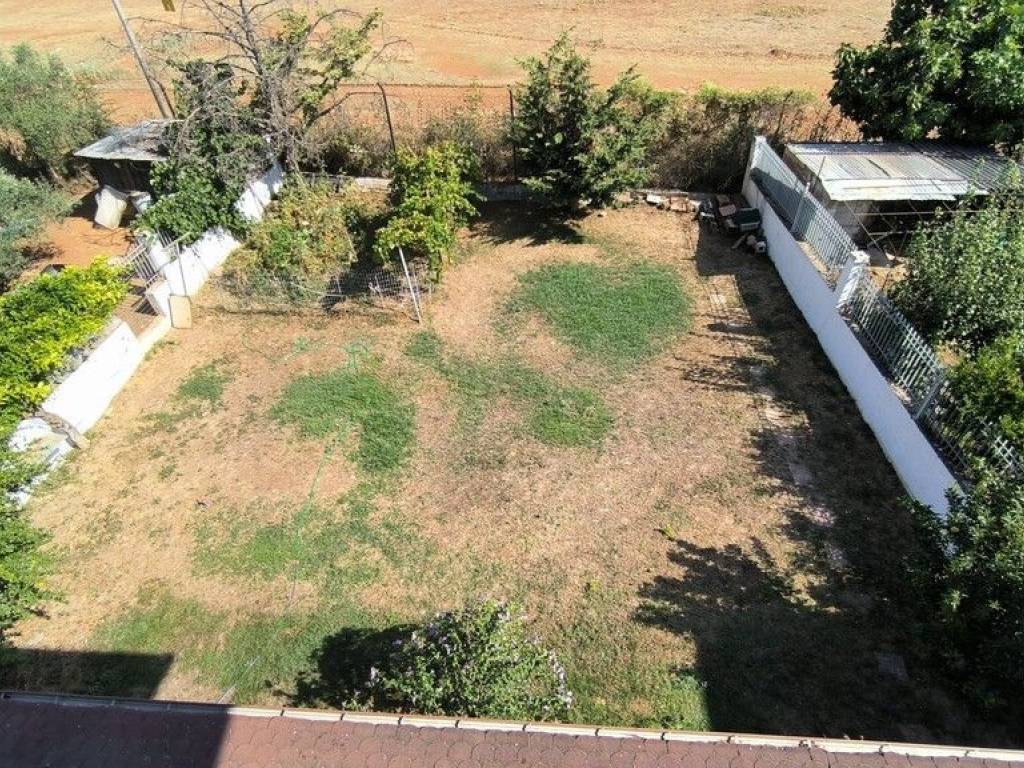 Apartment - Grekodom 60282|890250