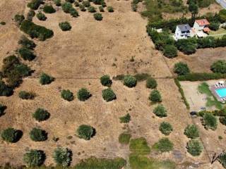 Plot - Grekodom 60405|893455