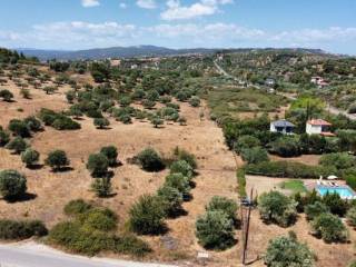 Plot - Grekodom 60405|893458