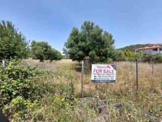 Plot - Grekodom 60405|986846