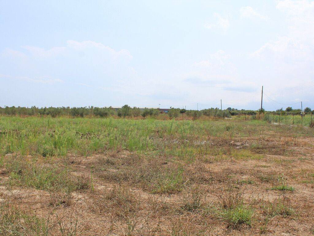 Detached - Grekodom 60570|897626