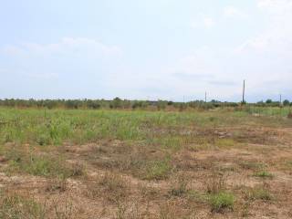 Detached - Grekodom 60570|897626