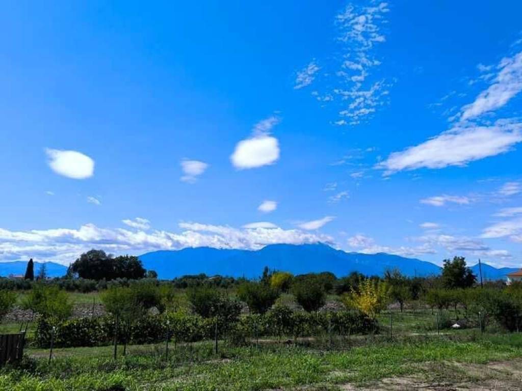 Detached - Grekodom 60462|906708