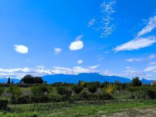 Detached - Grekodom 60462|906708