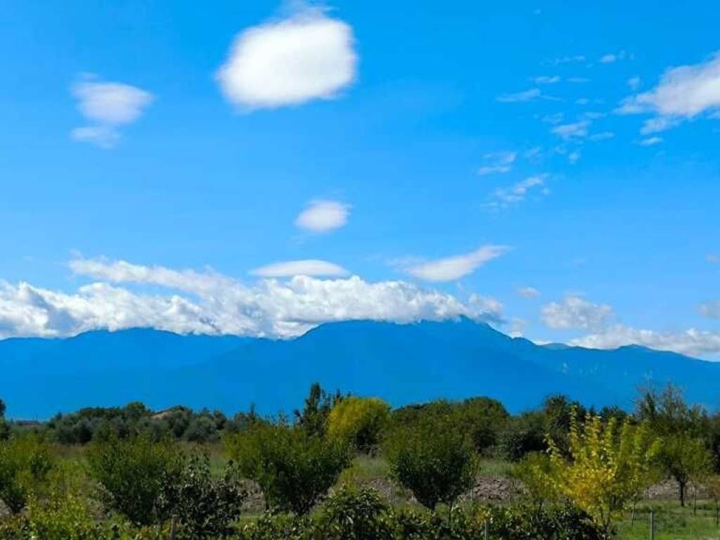 Detached - Grekodom 60462|906709