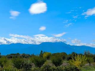 Detached - Grekodom 60462|906709