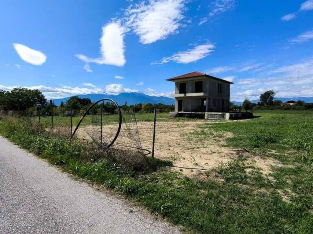 Detached - Grekodom 60462|906699