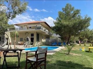 Hotel - Grekodom 60637|962748