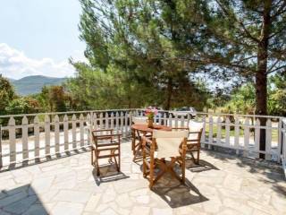 Hotel - Grekodom 60637|901580