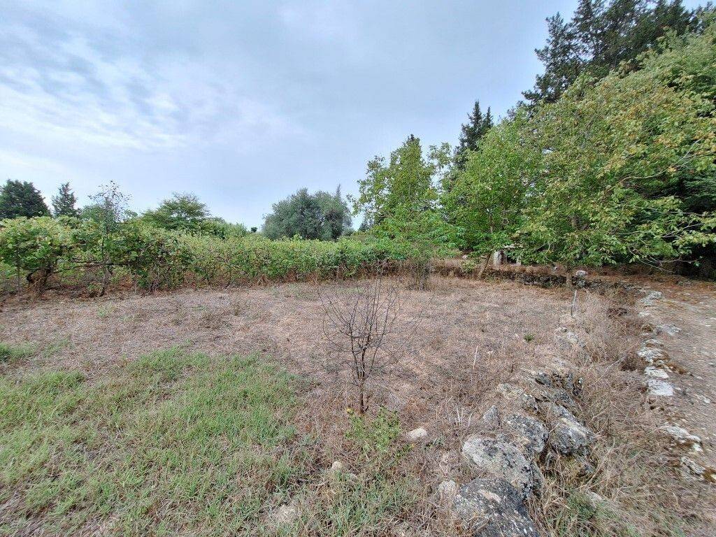 Detached - Grekodom 60780|905114