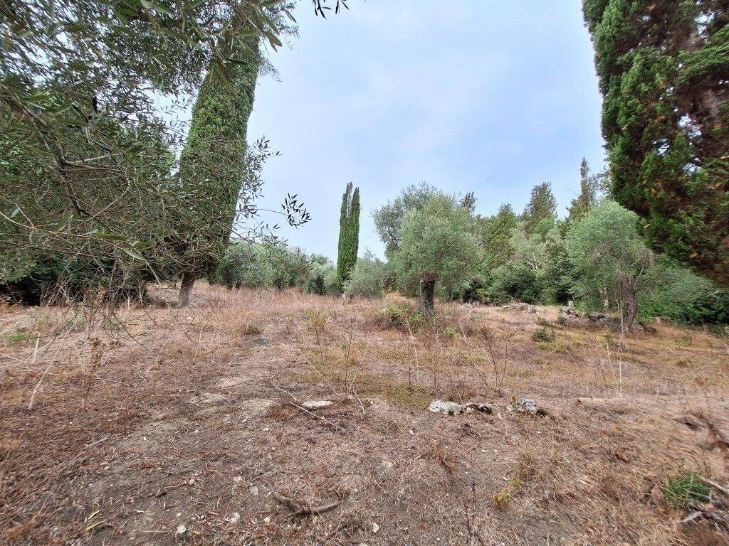 Detached - Grekodom 60780|905117